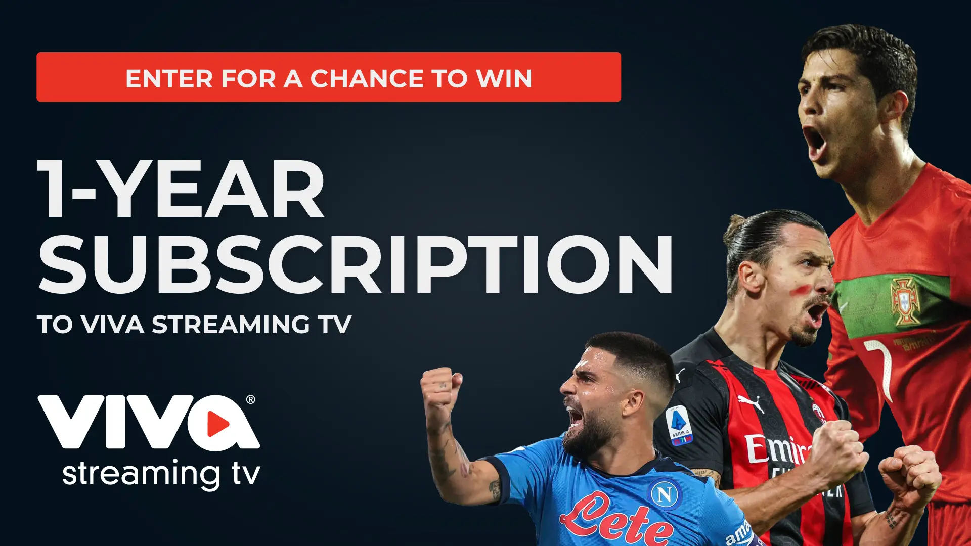 1-Year Subscription to Viva Streaming TV